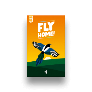 fly home jeu cooperatif